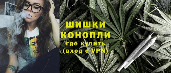 гидра Богородск
