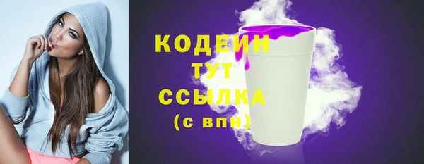 твердый Богданович