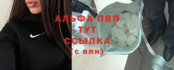 твердый Богданович