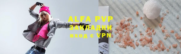 гидра Богородск