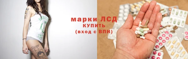 гидра Богородск