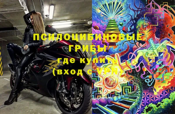 твердый Богданович