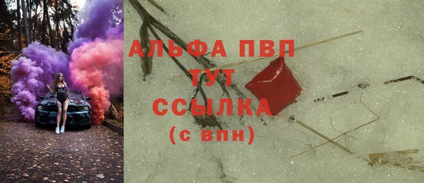 твердый Богданович