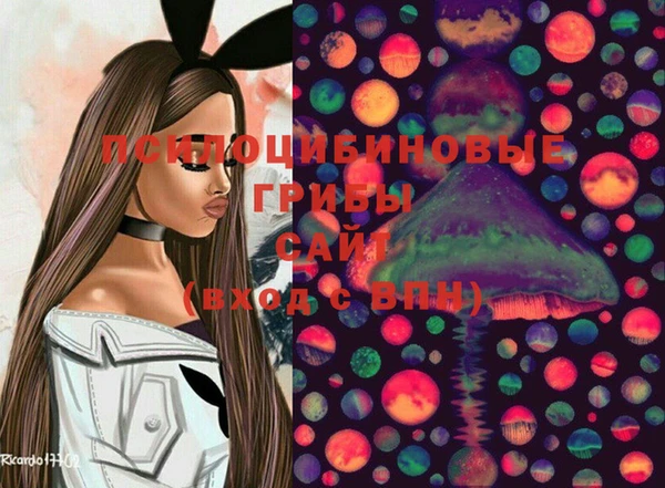 прущий лед Богородицк