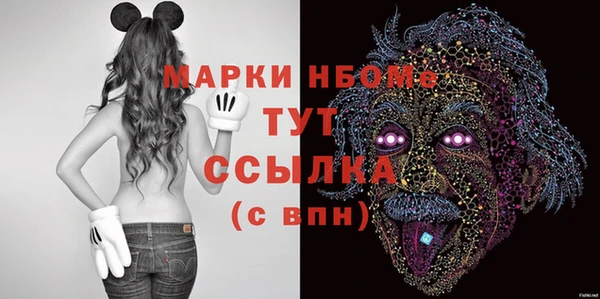 гидра Богородск