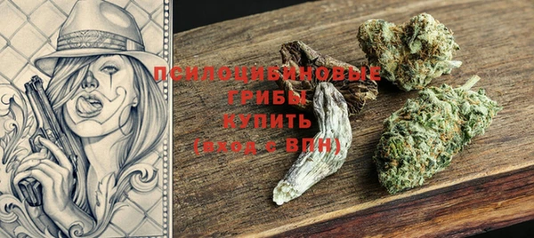 твердый Богданович