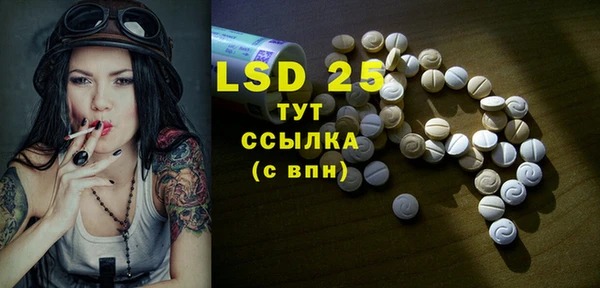 твердый Богданович