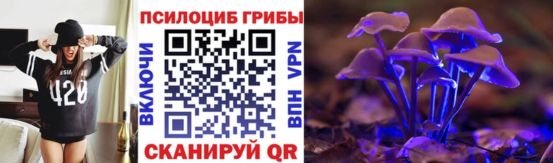 Галлюциногенные грибы Cubensis  кракен рабочий сайт  Канаш  дарнет шоп 