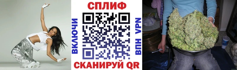 магазин продажи наркотиков  MEGA ссылки  Шишки марихуана марихуана  Канаш 